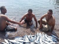 Северный Кипр — свежая фотография улова: где и на что брали?