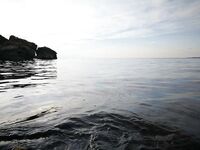 Гладь моря и паника малька на падении приманки: искупался, но по рыбе — тишина