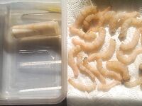 Шторм стихает до 1 балла: эксперимент с «вяленой» креветкой на лавсановой нити