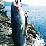 Тёплое утро, штиль: барракудка и окунь-кукушка с голубым пятном, купаться пойду