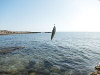 Кипрская мелочёвка на мормышку — фото серийных поклёвок и рабочая резина