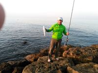 Штиль, сарган и «баллон» — наблюдения по ветру и активизации у берега