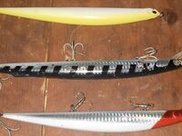 Морская рыбалка на Кипре: барракуда, время и скорость проводки, цвета по свету