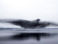 Кипр, кальмары на «бубу» и красивые кадры: вдохновляюсь перед сезоном