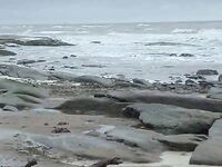 Кольский полуостров — «Беломорье»: несколько морских пейзажей сезона 2010