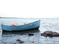 Кольский, Терский берег: морская рыбалка по треске, камбале и зубатке