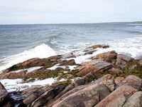 Кольский, Терский берег: морская рыбалка по треске, камбале и зубатке