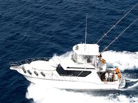 Лансароте, Канары: VIP-рыбалка с проживанием — предложение в сезон