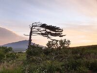 Итуруп, фото-заметки: Богдан Хмельницкий, бочка и «яйцо из вулкана»
