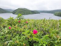 Итуруп, дороги, Белые скалы и «крокодил»: первый день ухи и горбуши