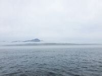 Итуруп, палтус с катера и ночные гольцы: как накат и туман меняют рыбалку