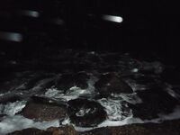 Остзее: фотки с моря и звёздочка на крючке — сожаление, но так вышло