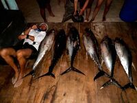 Сейшелы — трофейный разнос: джиг по 20 тунцов, парусники, GT и собакозуб