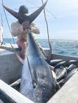 Сейшелы — трофейный разнос: джиг по 20 тунцов, парусники, GT и собакозуб
