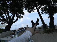 Сейшелы, март 2023: жизнь на Савой, еда дорога, но два рыбацких дня с гидом