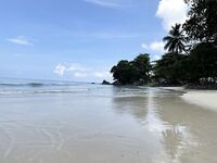 Сейшелы, март 2023: жизнь на Савой, еда дорога, но два рыбацких дня с гидом