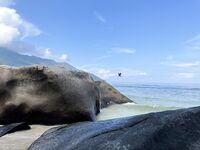 Сейшелы, март 2023: жизнь на Савой, еда дорога, но два рыбацких дня с гидом