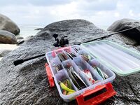 Сейшелы, март 2023: жизнь на Савой, еда дорога, но два рыбацких дня с гидом