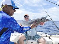 Маэ, начало марта: «Надежды ноль», ваху, дорада и барракуда 26 кг