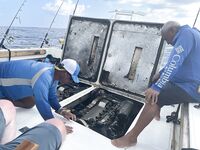 Джиггинг 5 марта: «клизма» на комель, джоб-фиши, амберджек и «электрика»