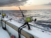 Джиггинг 5 марта: «клизма» на комель, джоб-фиши, амберджек и «электрика»