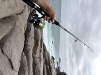 Сейшелы — первая морская рыбалка: тревел-спиннинг, пилькеры 15–40 г и сарган 4+