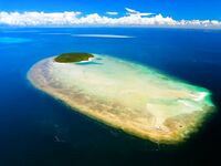 Австралия — «Остров» на Барьерном рифе: фото-галерея и морская рыбалка мечты