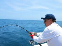 Австралия, воблерный спиннинг и лёгкие попперы: опыт на испанке и GT