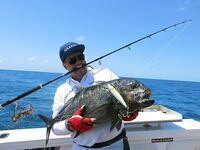 Австралия, воблерный спиннинг и лёгкие попперы: опыт на испанке и GT