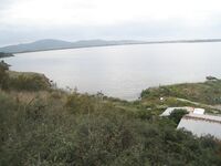 Созополь: как достучался до кефали — бомбарда, морской червь и «труба»