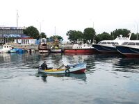 Старый Несебр: внук на мидию — только нано-ставридка, «дежурные» удочки