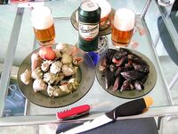 Ахелой — Поморие: мидии, рапаны и дикая набережная у моря