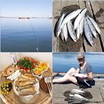 Созополь, порт Марина: кефалевая оснастка, червь и клев с 5:30 до 7:30