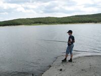 Болгария, Черное море — рибарски билет на Порой и нашествие «солнчевки»