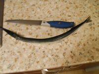 Болгария, «для затравочки»: первый визуальный отчёт по месту