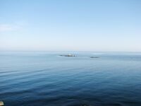 Болгария, уточнение по точке: «Здесь?» — сверка места на карте