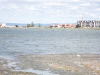 Поморие: вонючий лиман без рыбы — лучше ловить на косе и волноломе