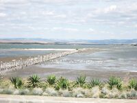 Поморие: вонючий лиман без рыбы — лучше ловить на косе и волноломе