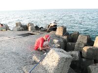 Поморие: фото одного из волноломов — точка для береговой ловли