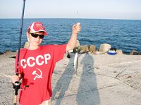 Поморие: фото одного из волноломов — точка для береговой ловли