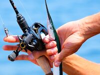 Ахтополь, температура воды и виды: прогноз по сезону на Чёрном море