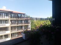 Болгария, конец августа—начало сентября: лодка, ставрида и паламуд