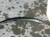 Болгария, «пионэры» на бомбарду с берега: фиксирую активность сегодня