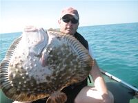 Болгария: «рыба есть» — краткая реплика из обсуждения уловов