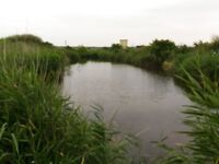 Болгария, пруды: альтернатива морю для короткой сессии с поплавком