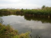 Болгария, пруды: альтернатива морю для короткой сессии с поплавком