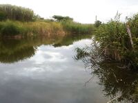 Болгария, пруды: альтернатива морю для короткой сессии с поплавком