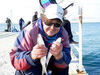 Дивноморск: «сарганка» 30 г, фидер 3.9 до 120 г и заброс 80–90 м по ветру