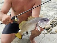 Дивноморск, сентябрь 2014: рокфишинг на «Голубых далях» и у «Факела»