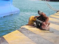 Греция, Аттика: порт Перея и остров Порос — прибрежные наблюдения